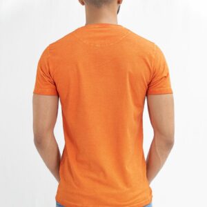 Camiseta Mangas Cortas Modelo T-shirt Mc Cuello V Pumpkin Pie - Imagen 2