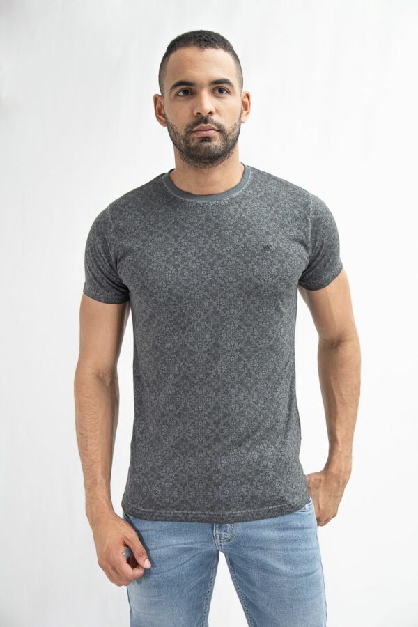 Camiseta Mangas Cortas Modelo T-shirt Cuello R Pt-Delave Stone Gray